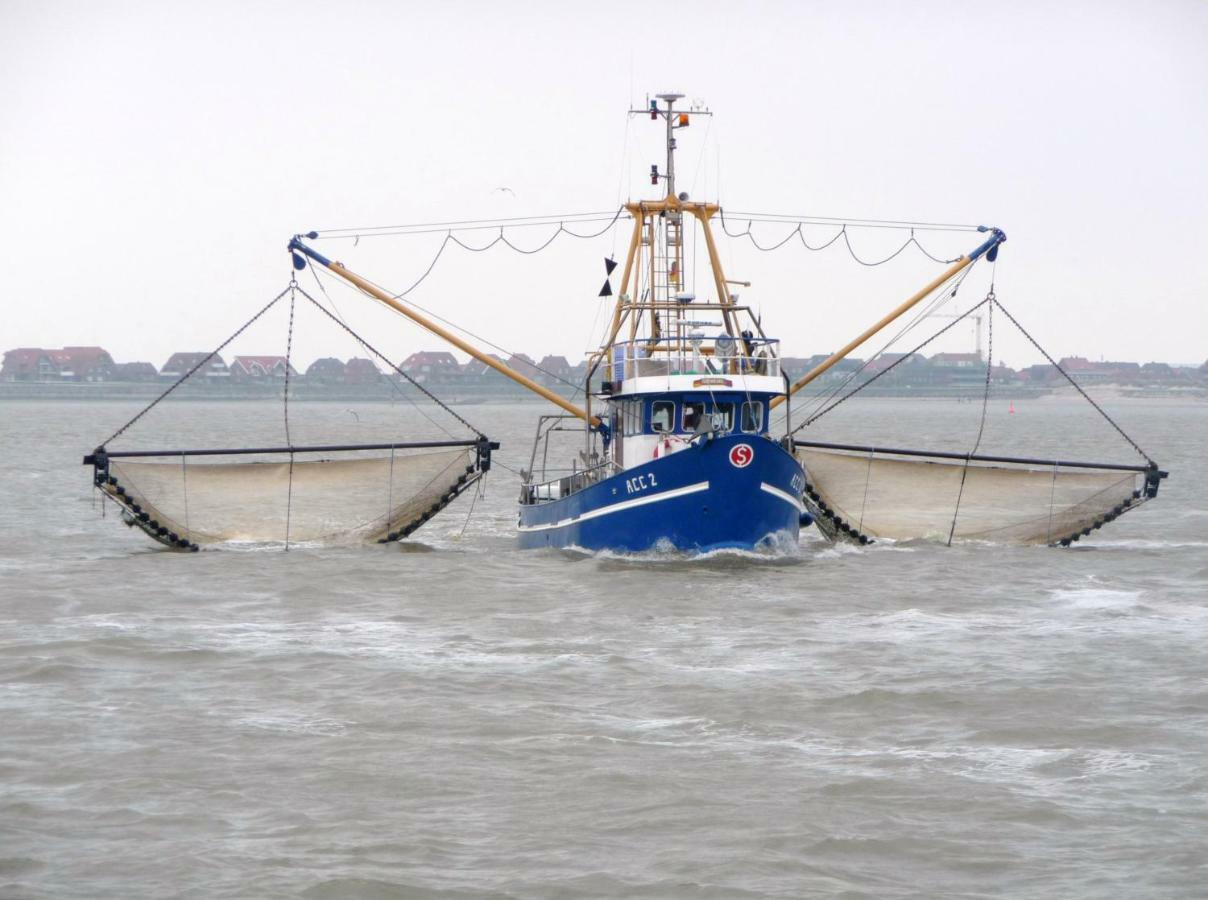 Huus Wattenmeer In Nessmersiel An Der Nordsee ドルヌム エクステリア 写真